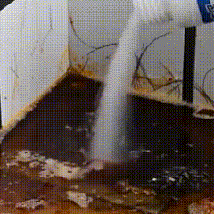 Cara Penggunaan GIF